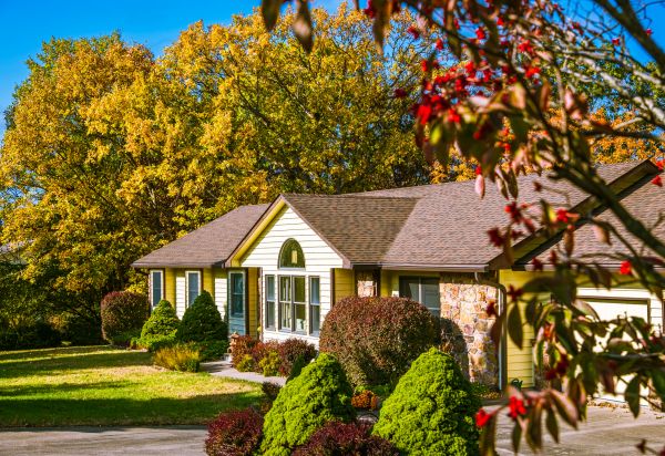 Ranch Landscaping in Valrico