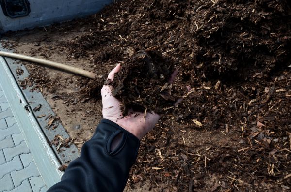 Condo Mulching in Valrico
