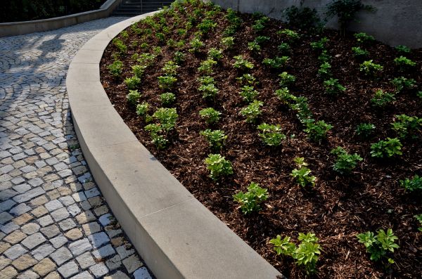 Commercial Mulching in Valrico