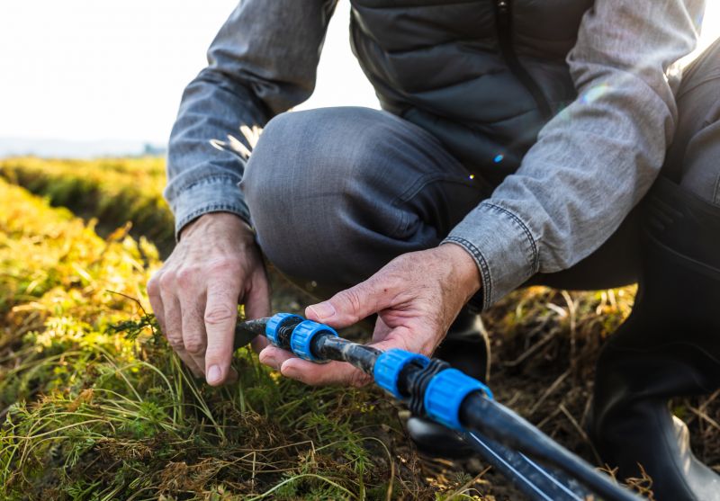 Blowing Out Sprinkler Lines