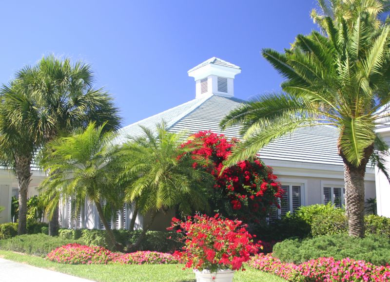 Palm Tree Landscaping
